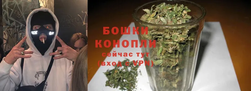 Шишки марихуана White Widow  даркнет сайт  Гусиноозёрск 